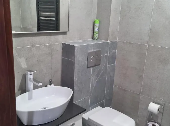 Nad Wisla Apartment Tczew